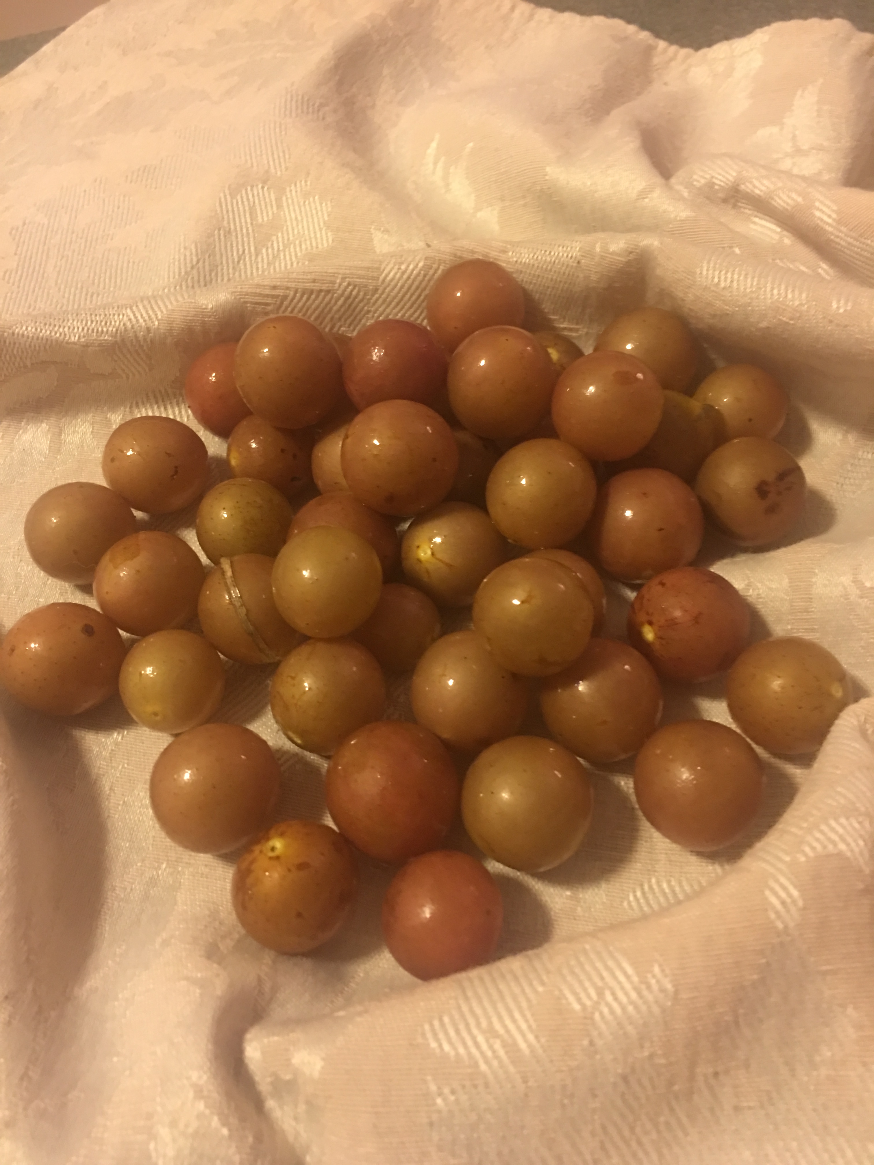 scuppernongs