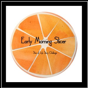 Early Morning Slicer