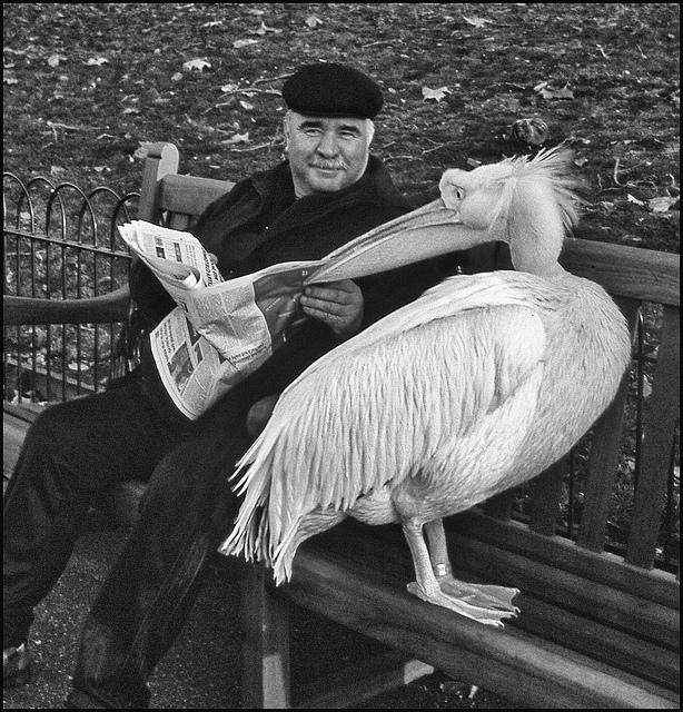 Don't believe everything