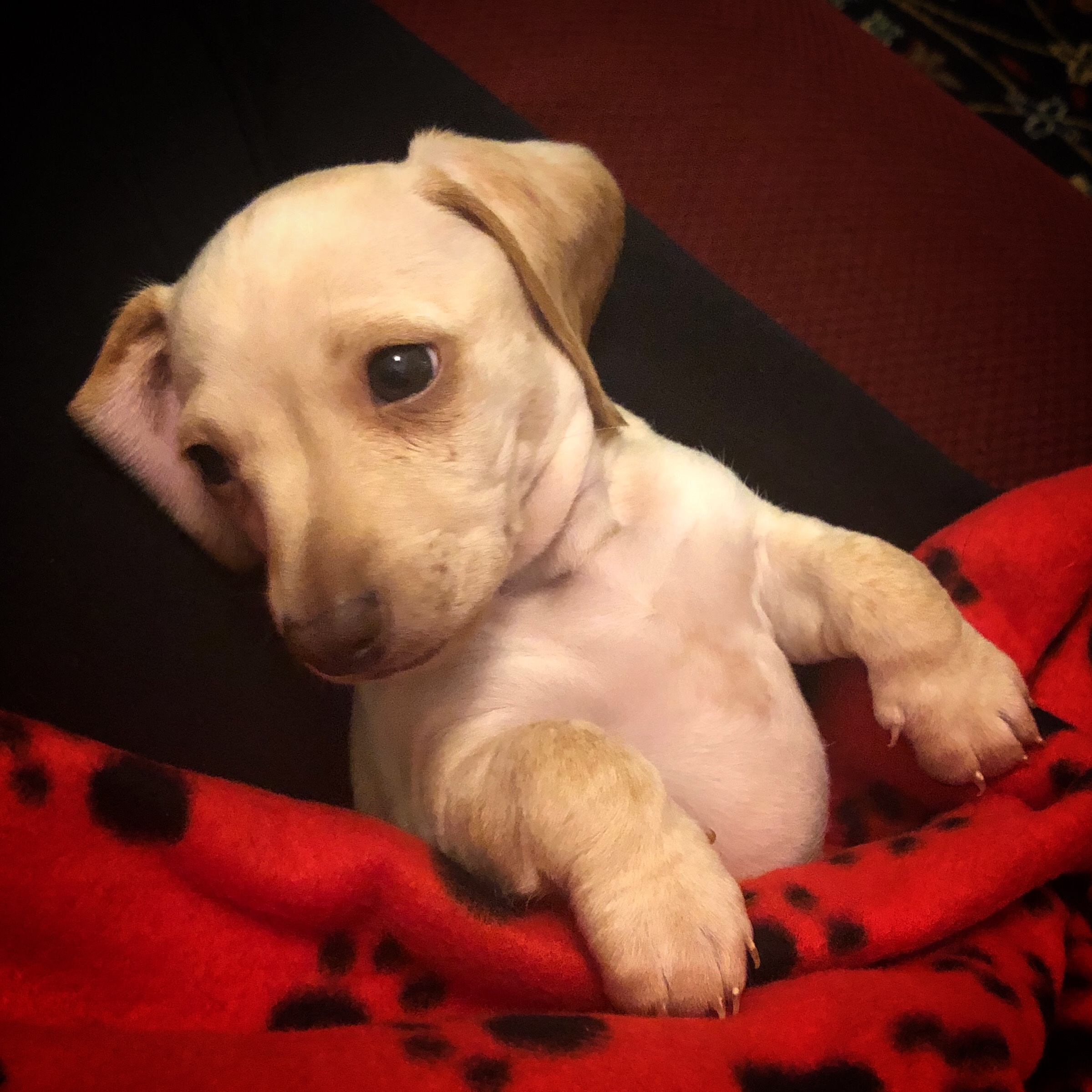 4c46f021-c4ab-435b-a65d-a78a28f8c96a